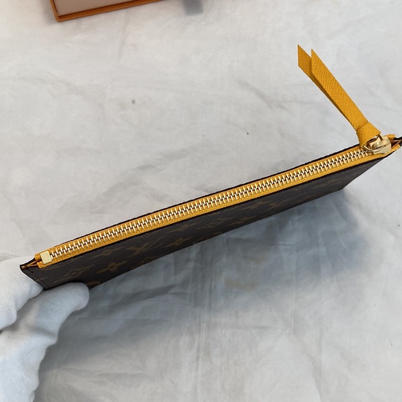 Louis Vuitton Monogram Canvas Felicie Insert - Picture 5 of 10